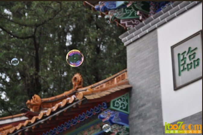 未命名9.jpg