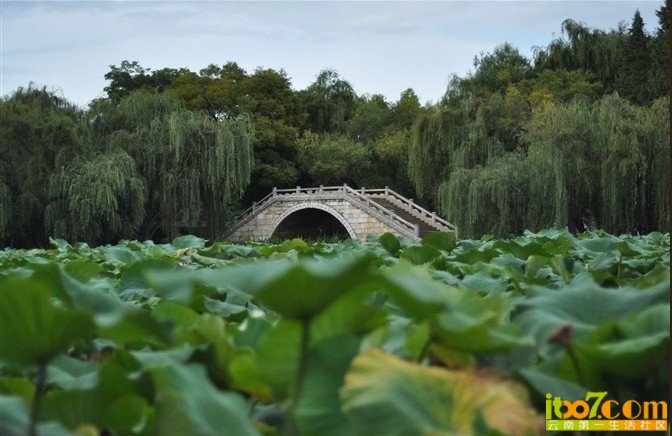 未命名11.jpg