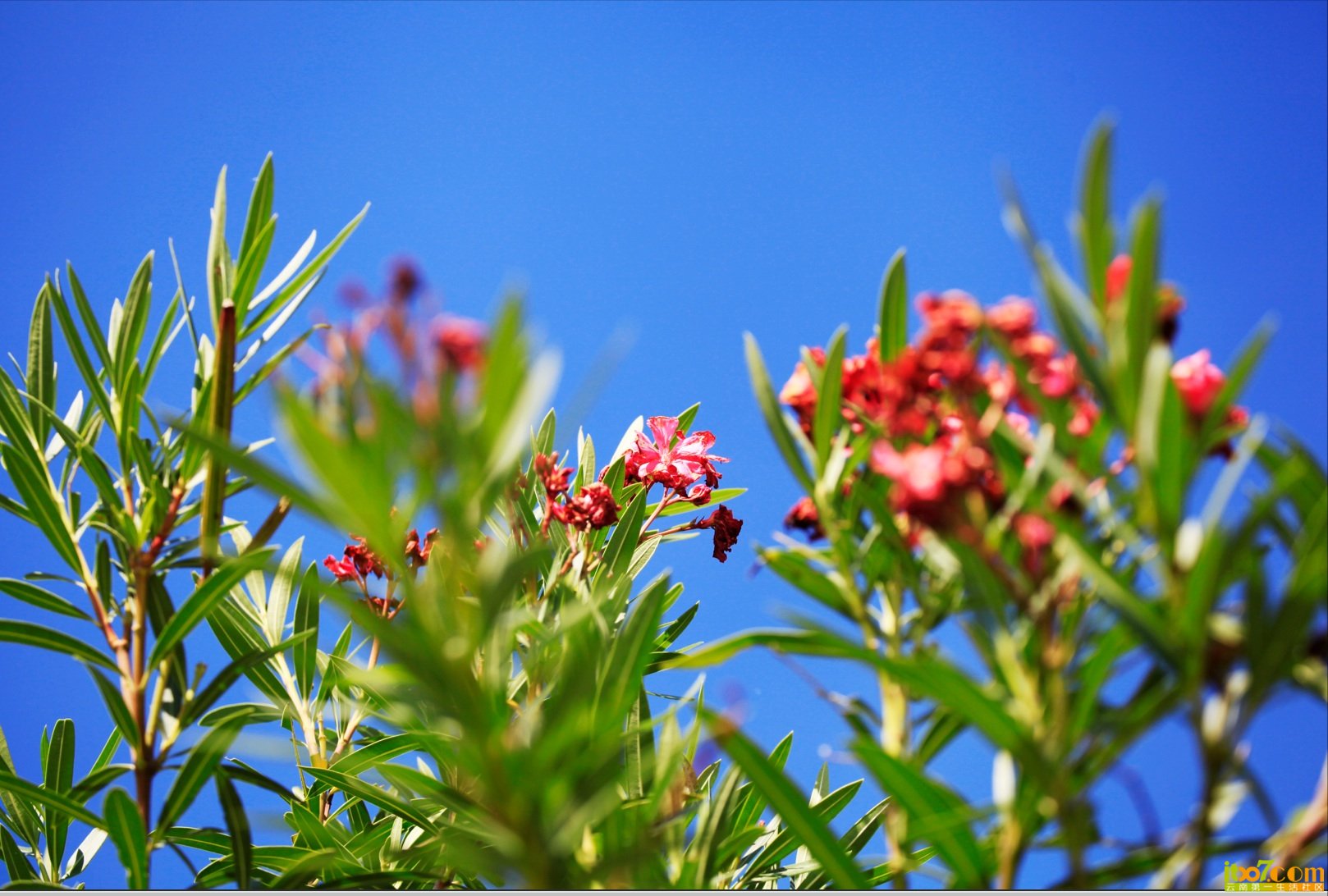 QQ20120822-3.jpg
