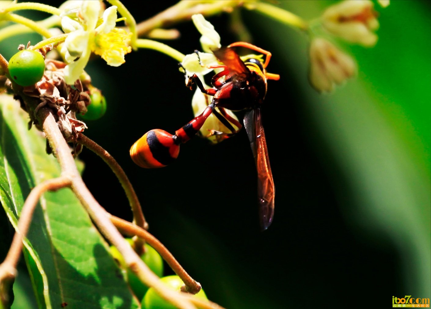 QQ20120822-8.jpg