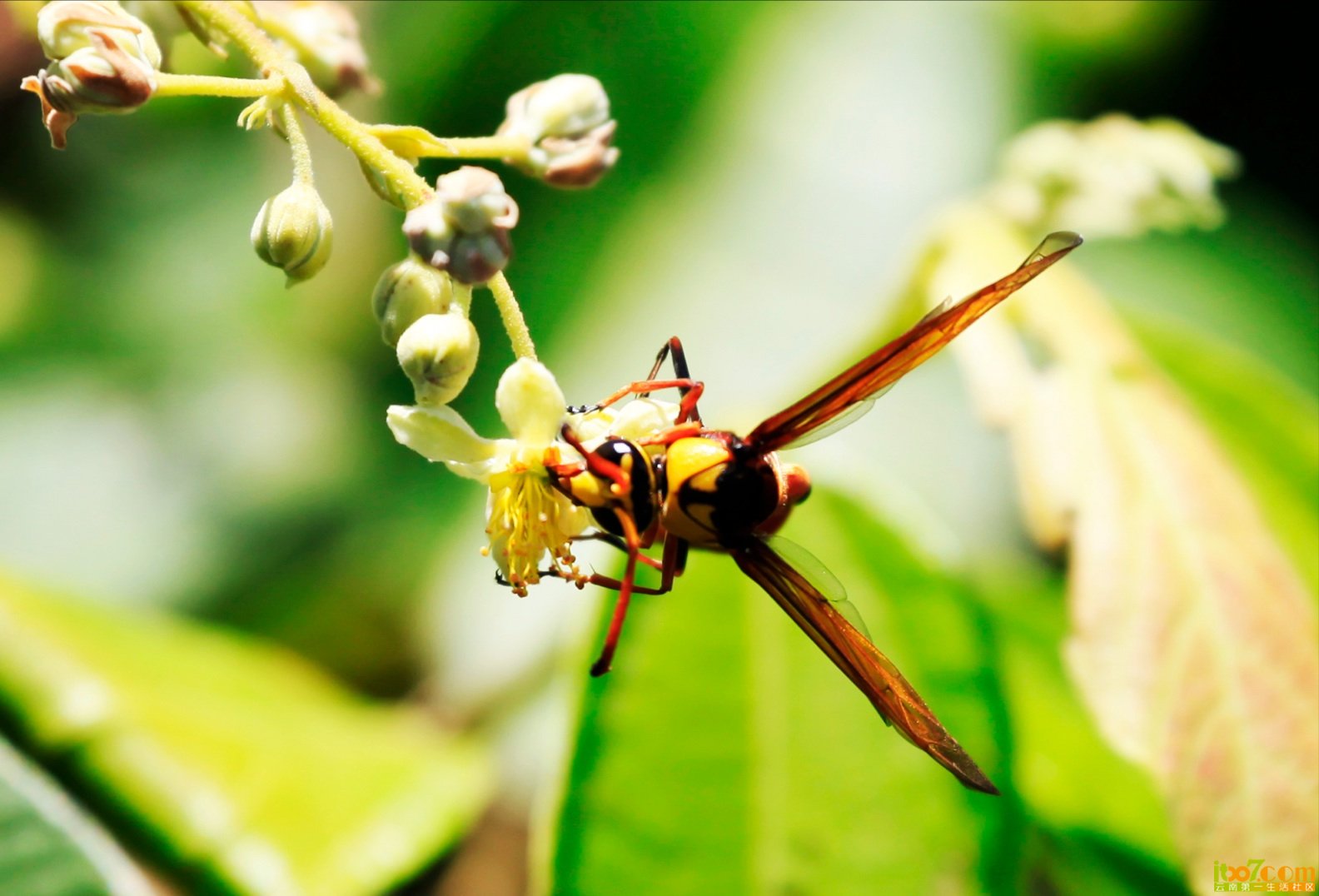 QQ20120822-9.jpg