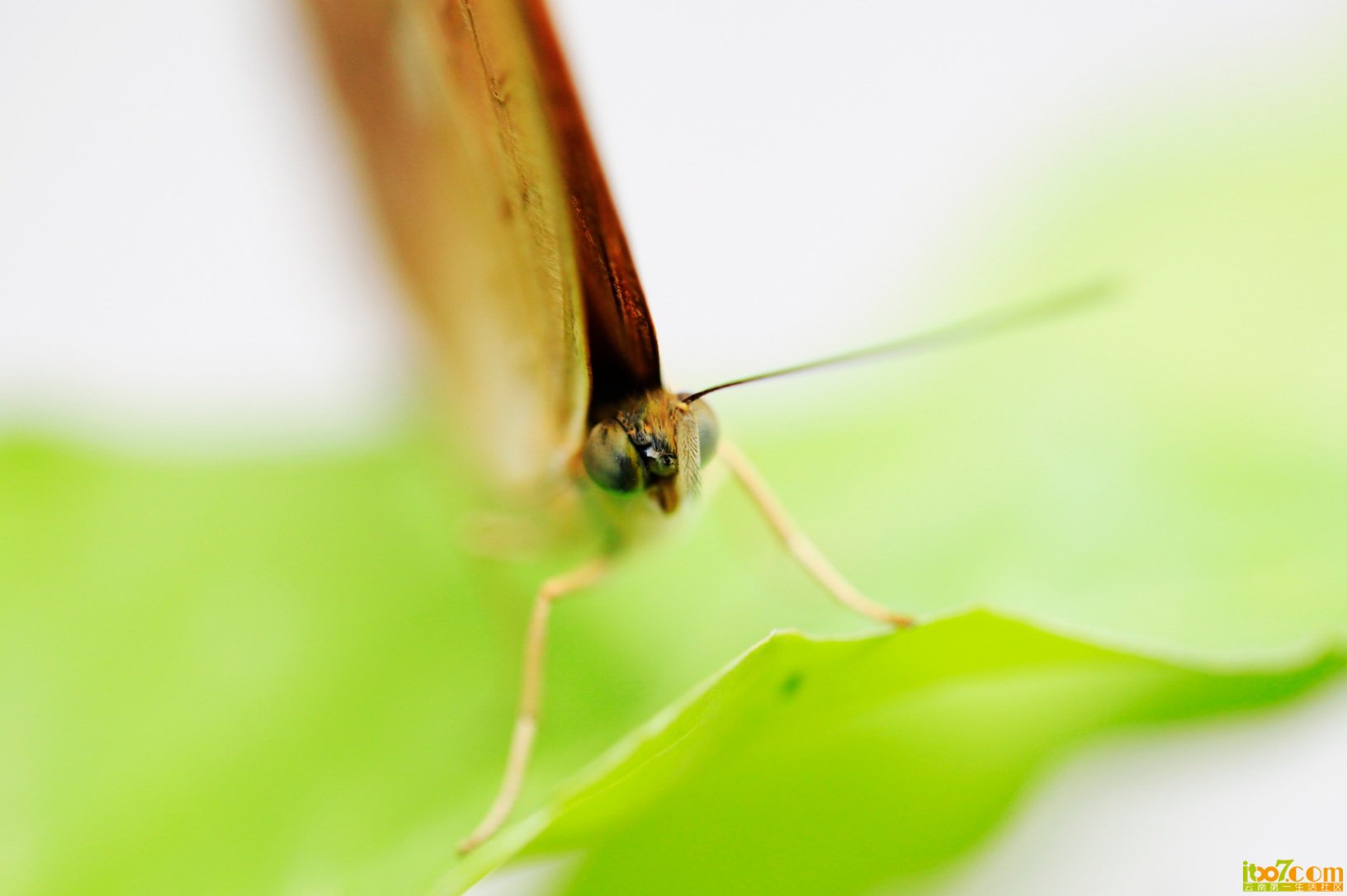 QQ20120822-11.jpg