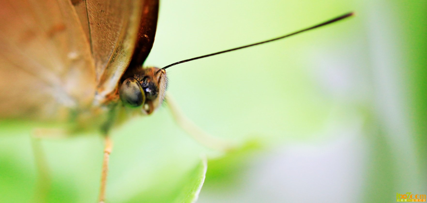 QQ20120822-12.jpg