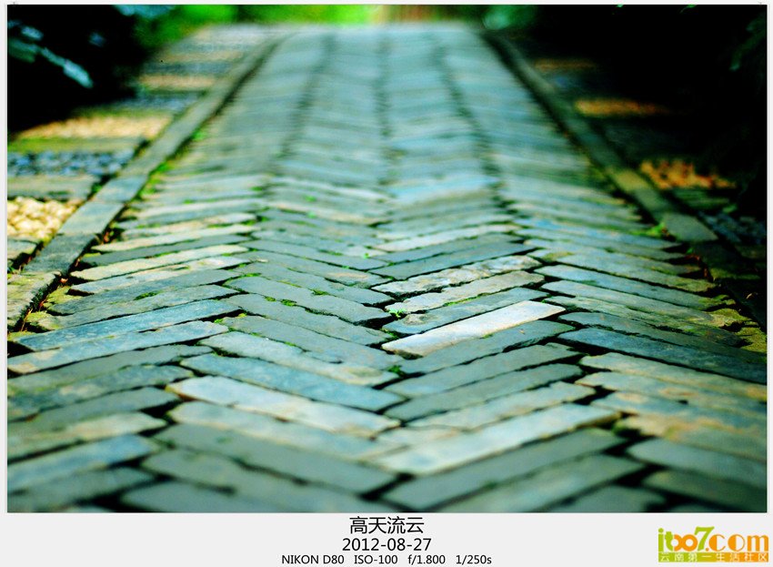 小品一组 011_副本_副本_副本.jpg