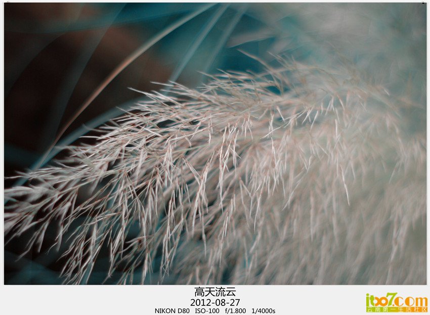小品一组 137_副本_副本_副本.jpg