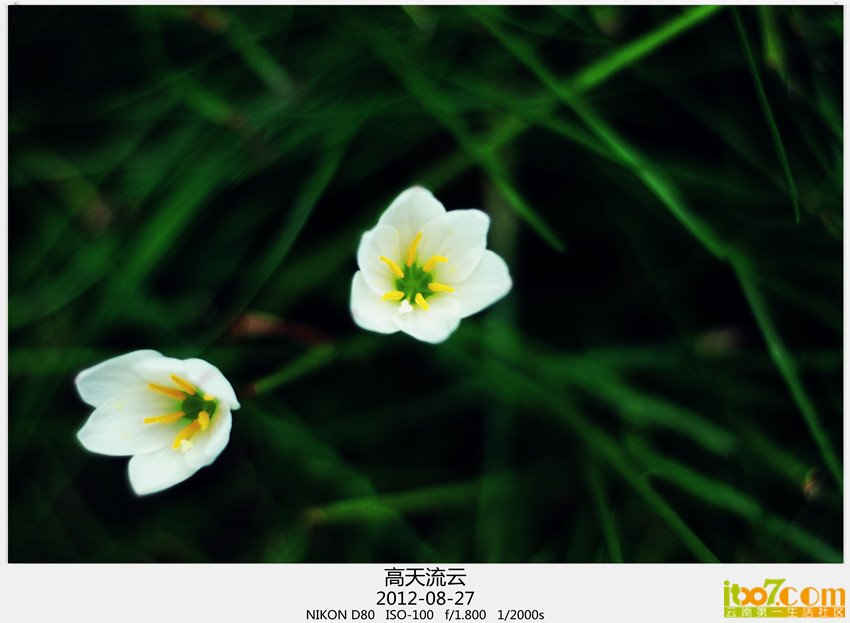 小品一组 141_副本_副本_副本.jpg