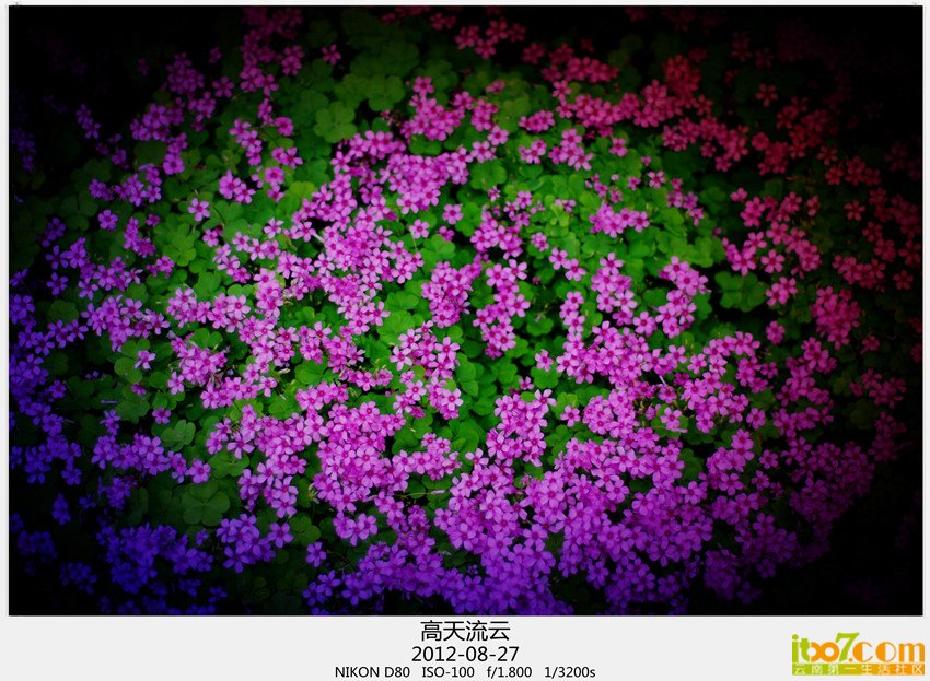 小品一组 179_副本_副本_副本.jpg