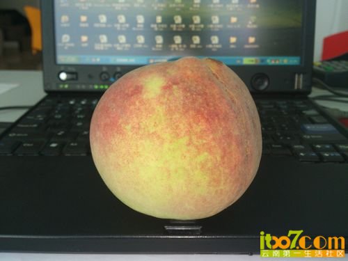 nEO_IMG_DSC_0049.jpg