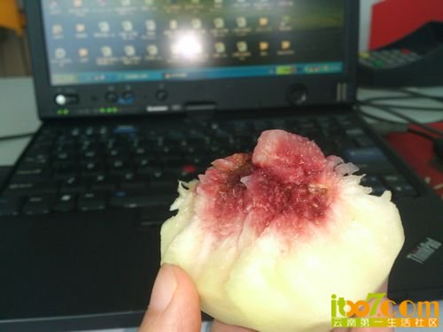 nEO_IMG_DSC_0051.jpg