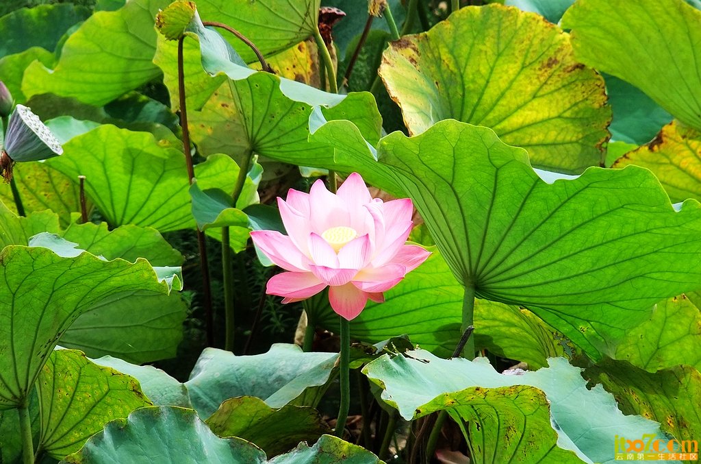 DSCF9172.jpg