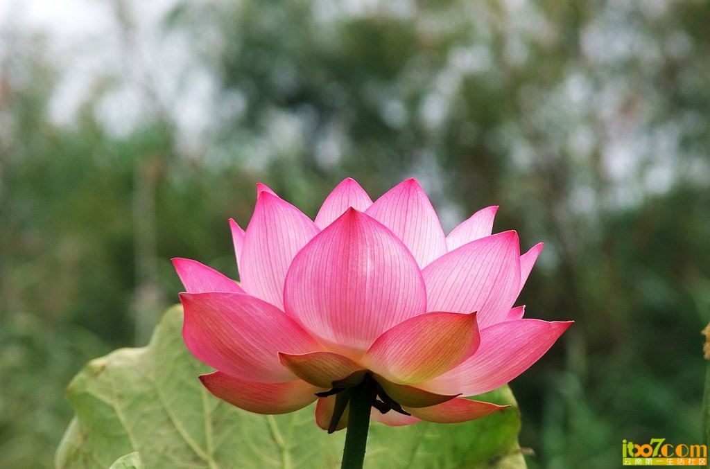 DSCF9229.jpg
