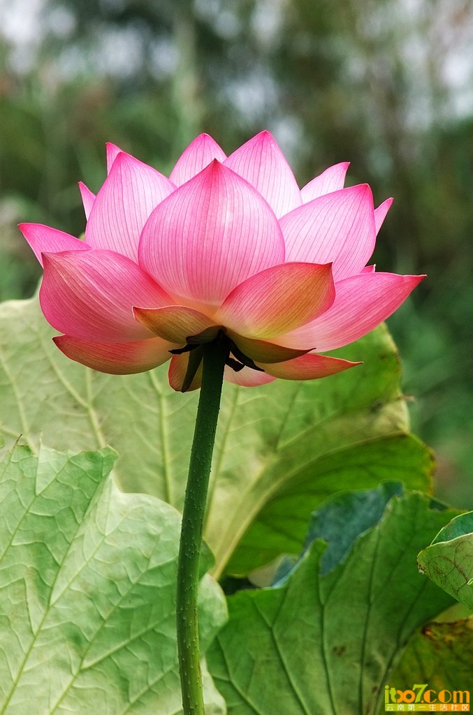 DSCF9233.jpg