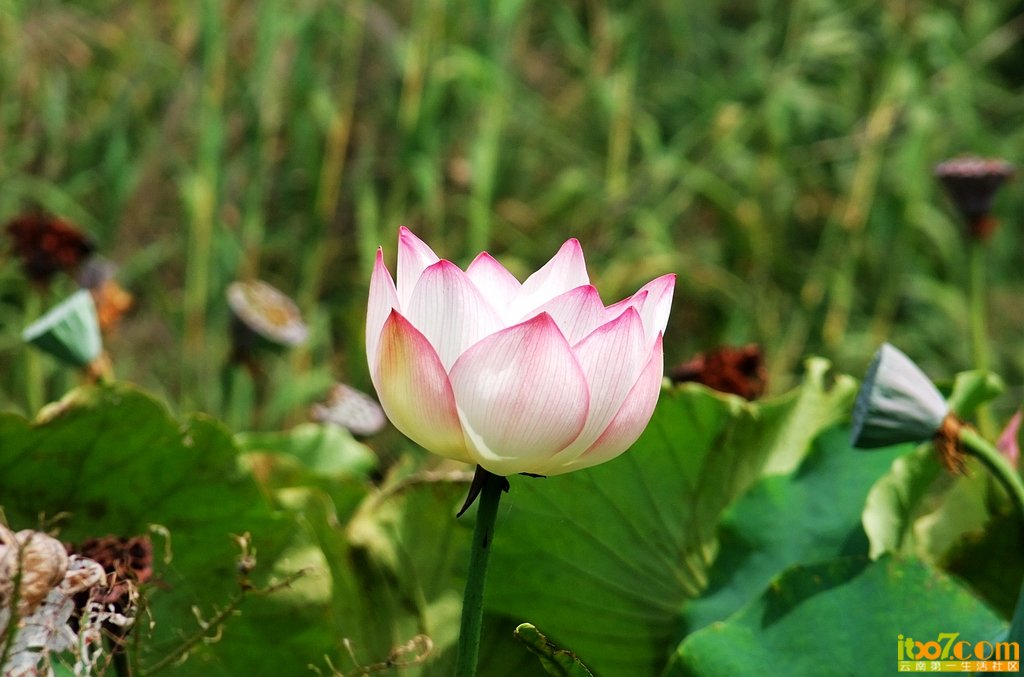 DSCF9287.jpg