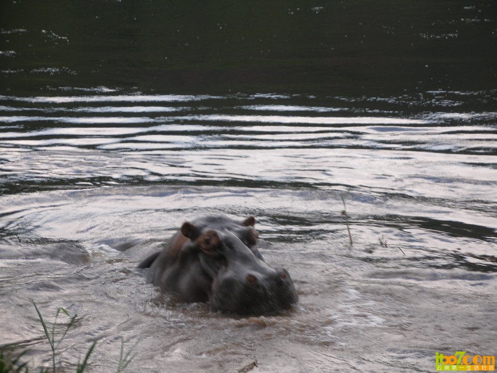 x_large_1Eau_7db50000580a1263.jpg
