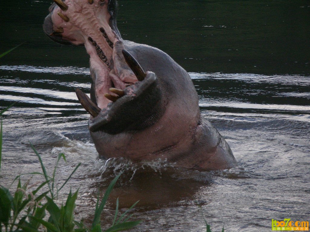 x_large_hbS4_7b900000c1831263.jpg