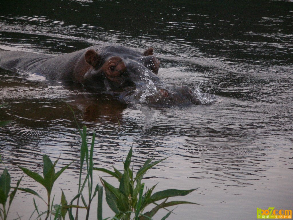 x_large_63OY_524b000032e11262.jpg