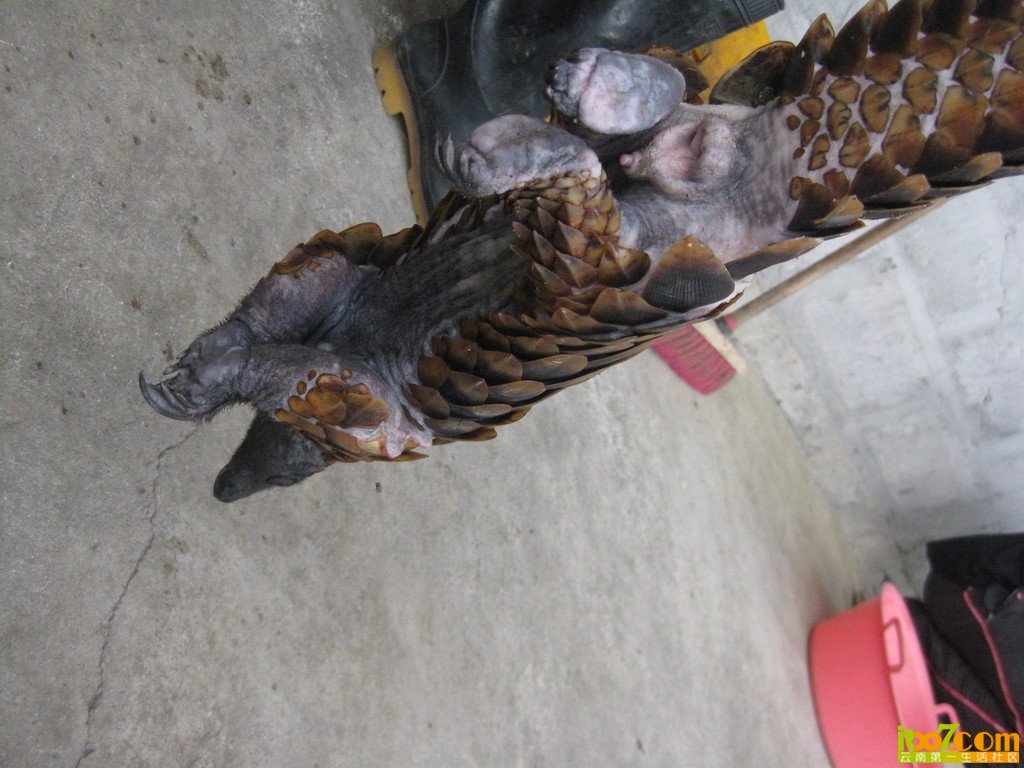 x_large_oIxo_725a00006efc1261.jpg