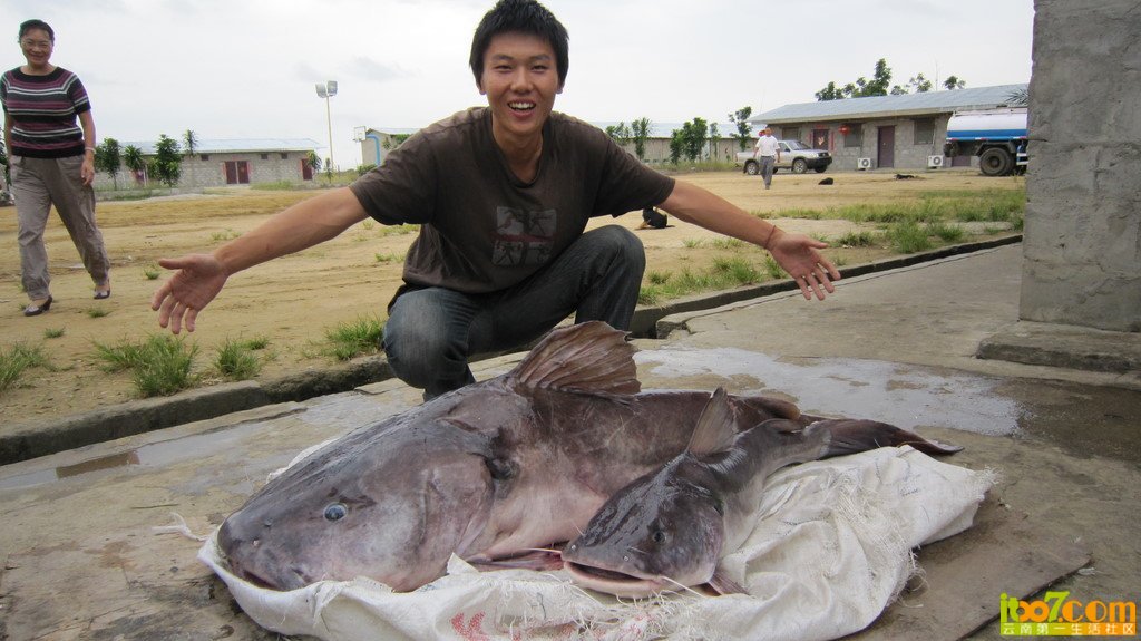 x_large_KHue_6d1c000069db1263.jpg