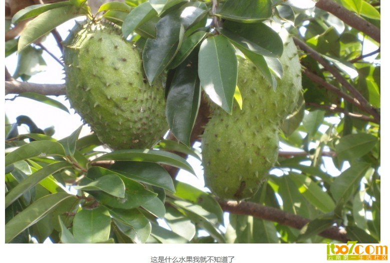 未命名.jpg