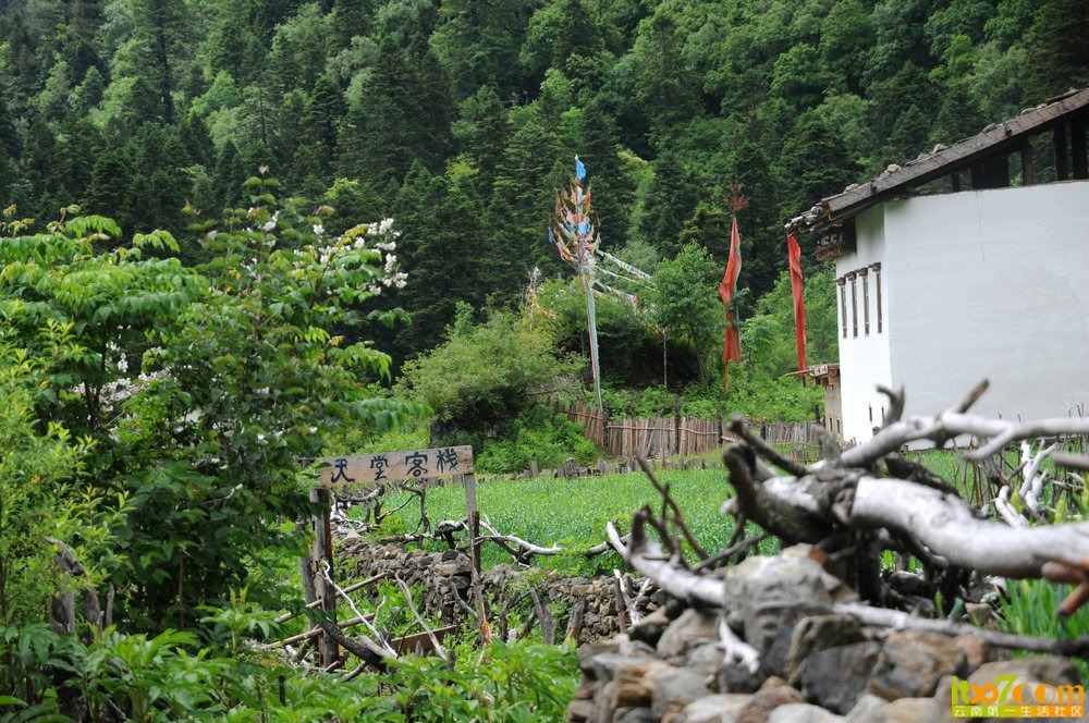 216.jpg