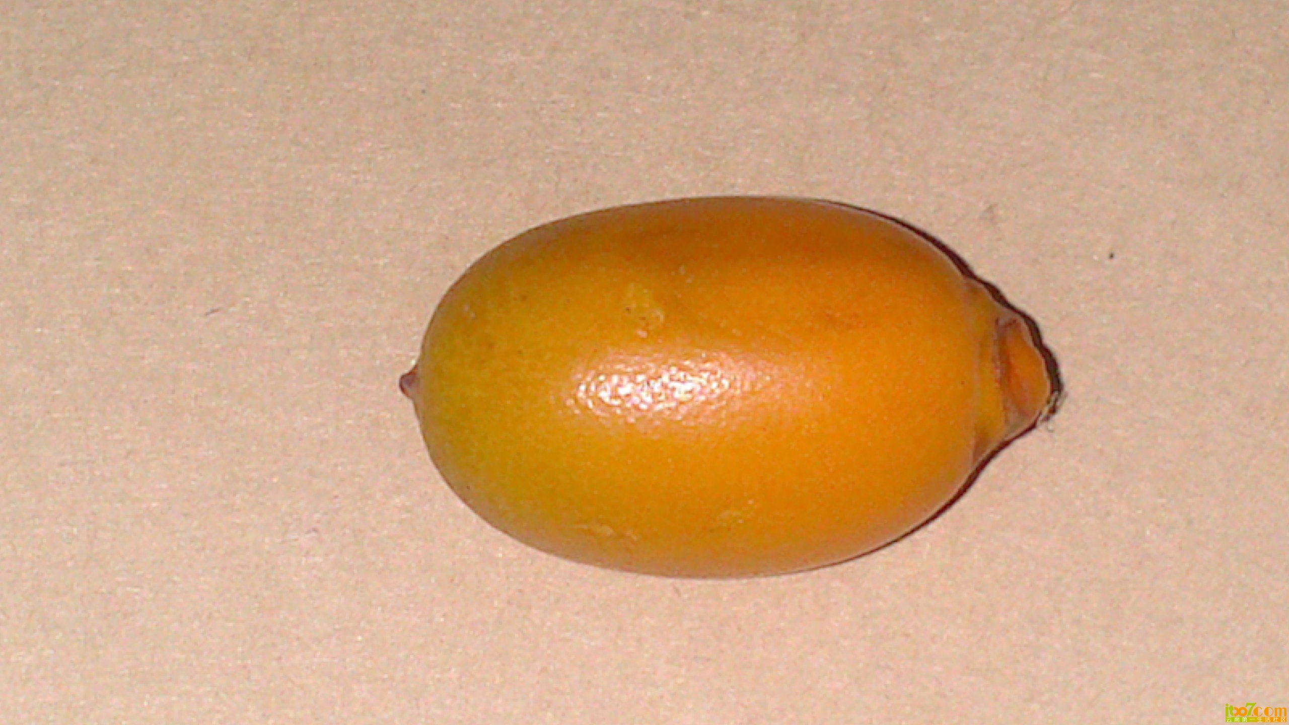 DSC_0007.jpg