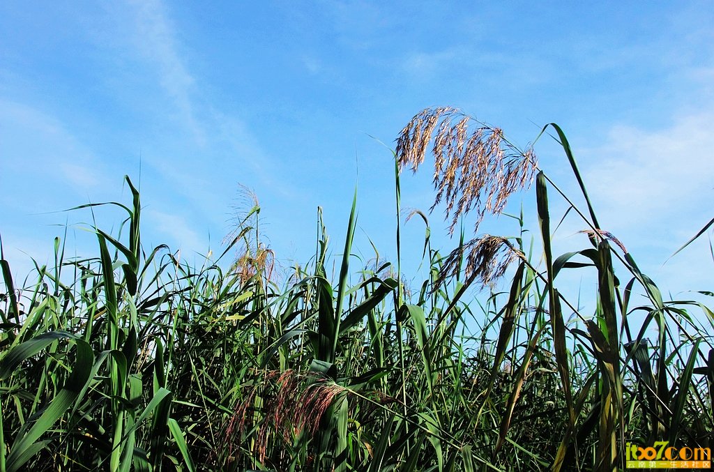 DSCF1859.jpg