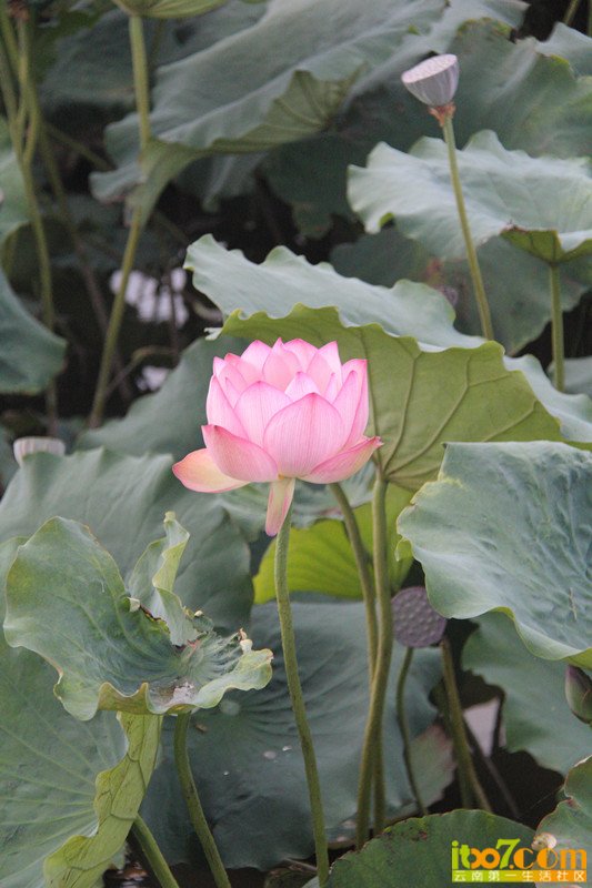 IMG_6104_副本.jpg