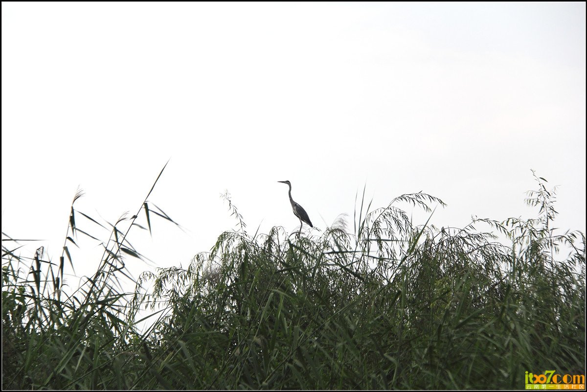 IMG_6089_副本.jpg