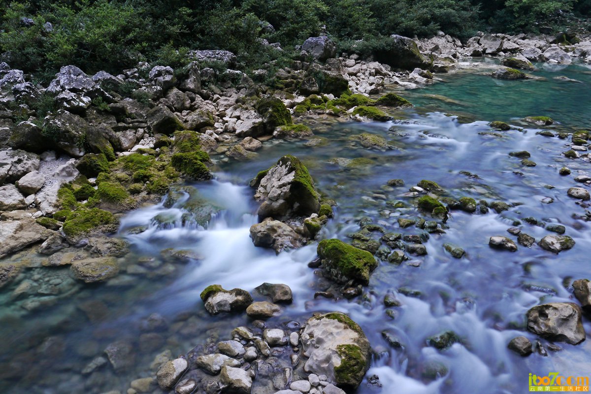 P1010225.JPG