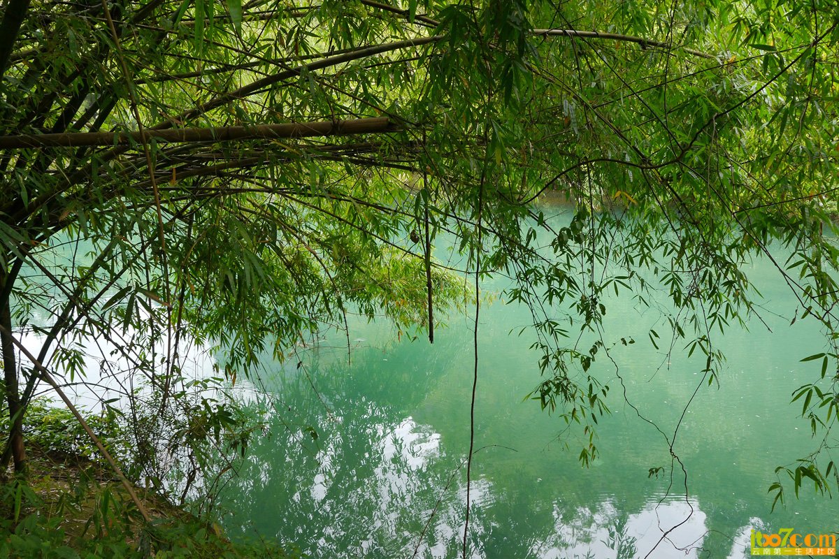 P1010259.JPG