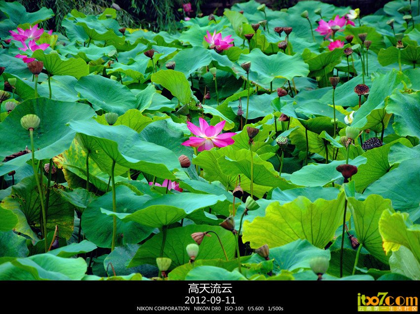 053_副本_副本_副本.jpg