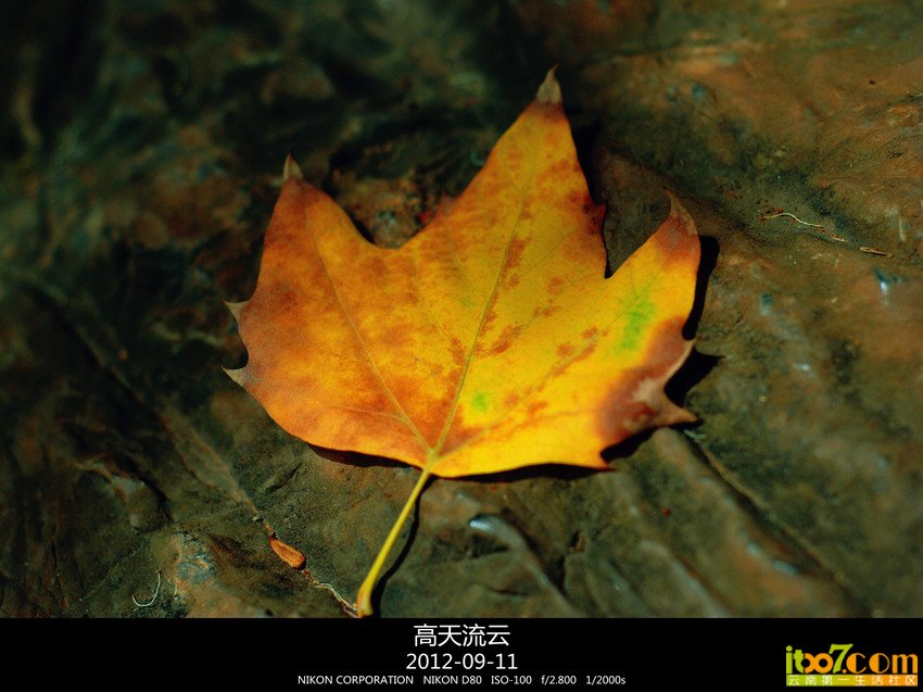 060_副本_副本_副本.jpg