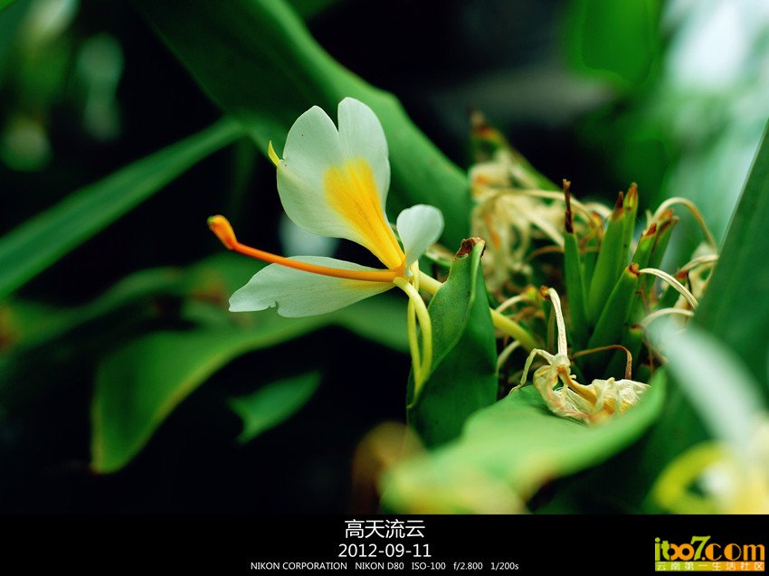 070_副本_副本_副本.jpg