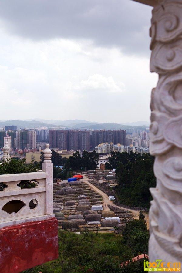 P1020308.jpg