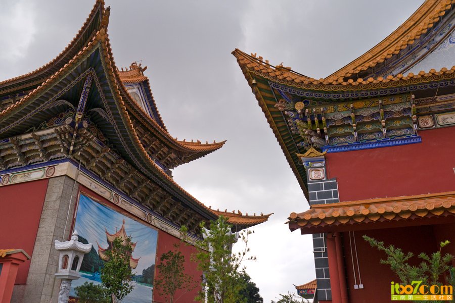 P1020321.jpg