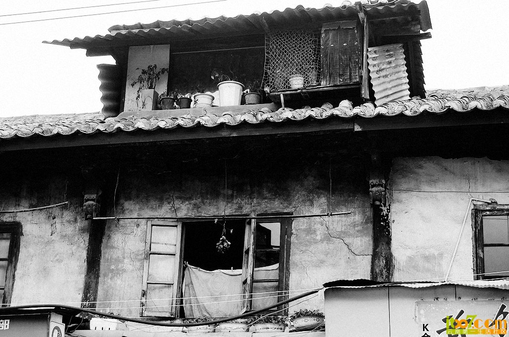 DSCF9395.jpg