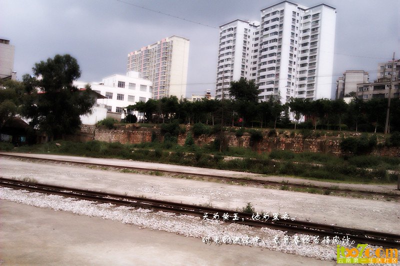 IMAG1026_副本.jpg