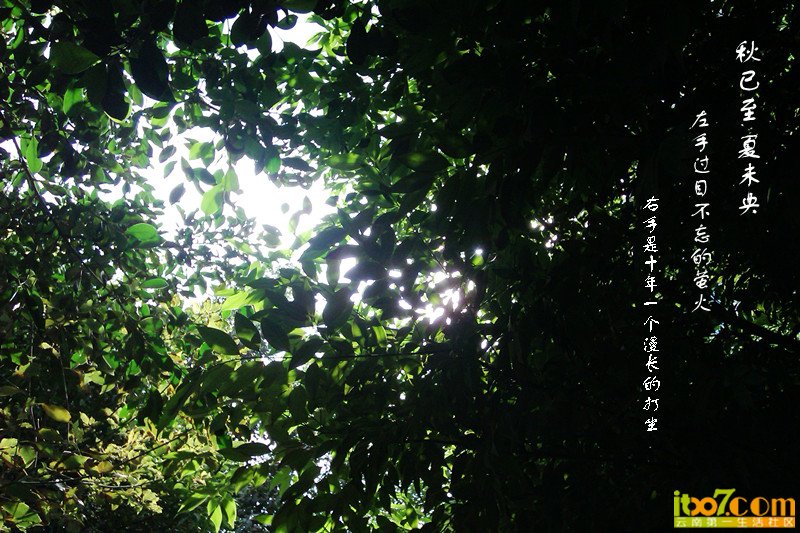 IMAG0993_副本.jpg