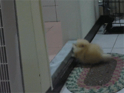 不容易啊