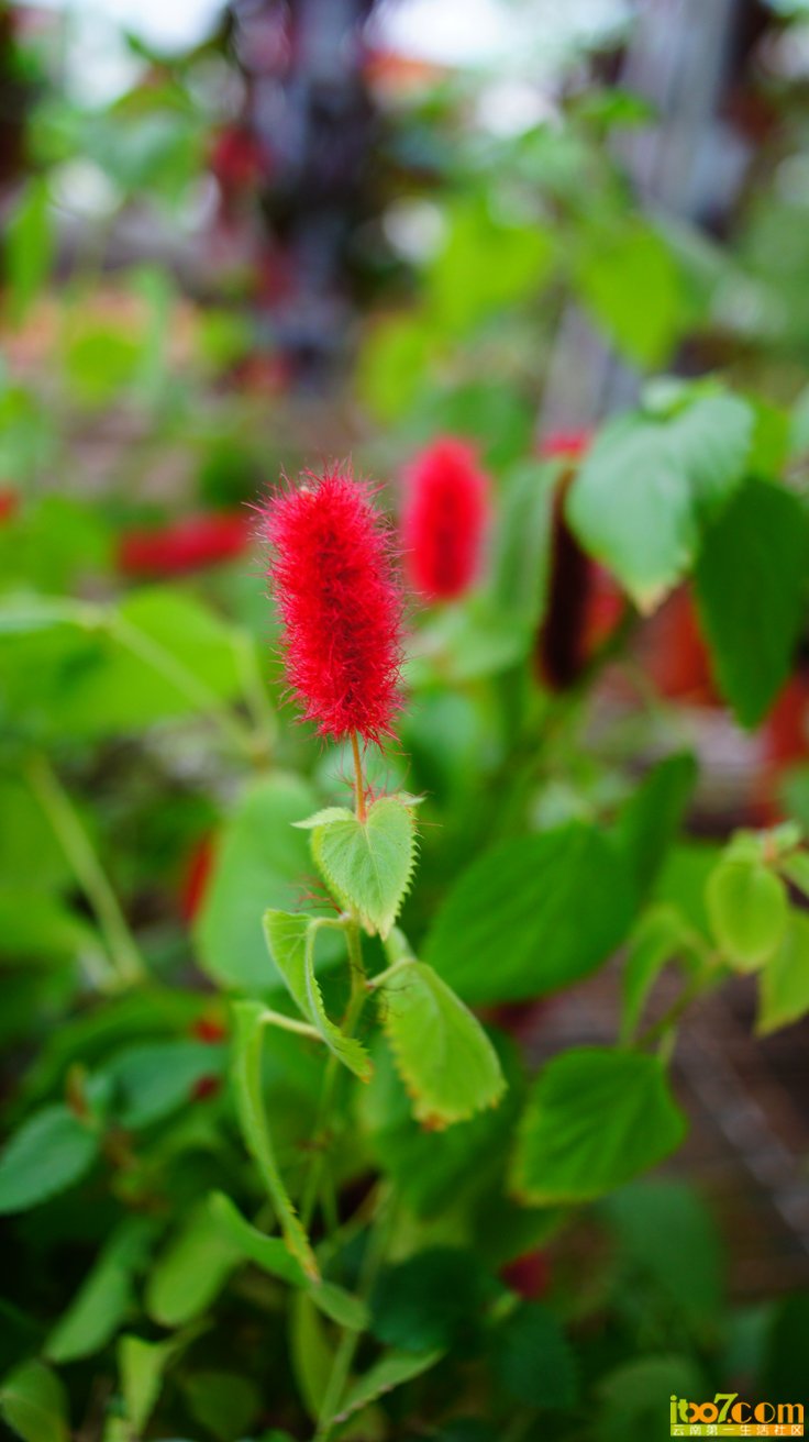 DSC07095.JPG