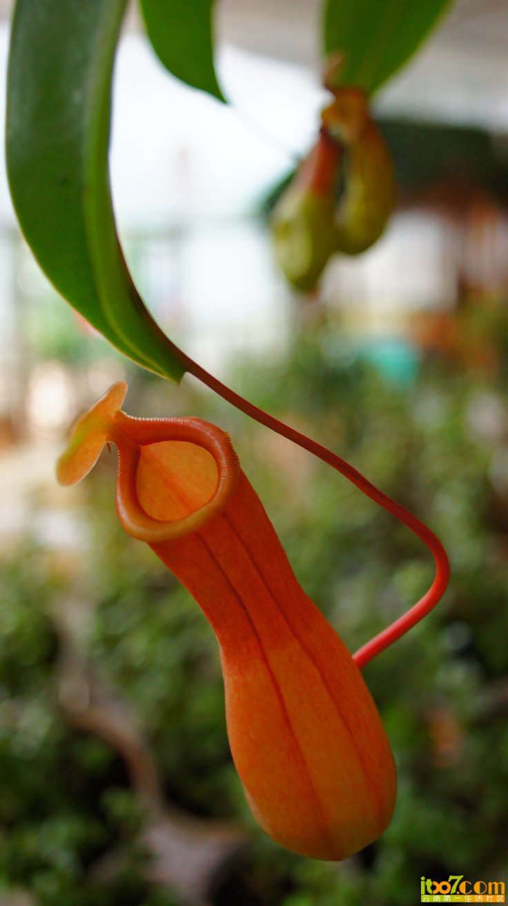 DSC07104.JPG