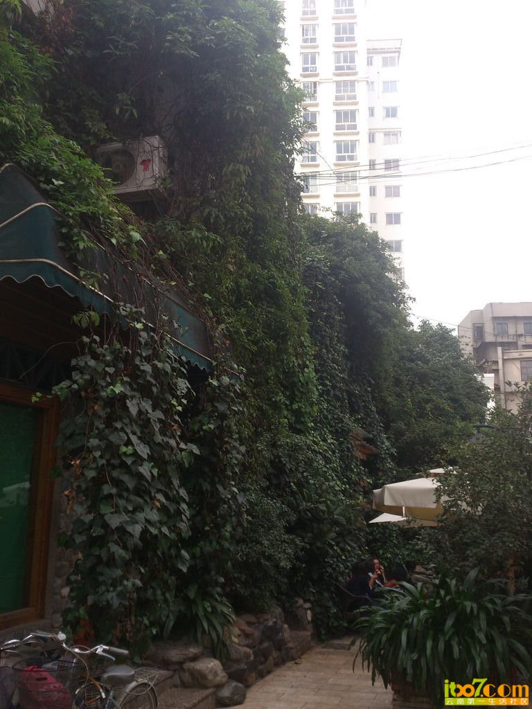 nEO_IMG_DSC_0147.jpg