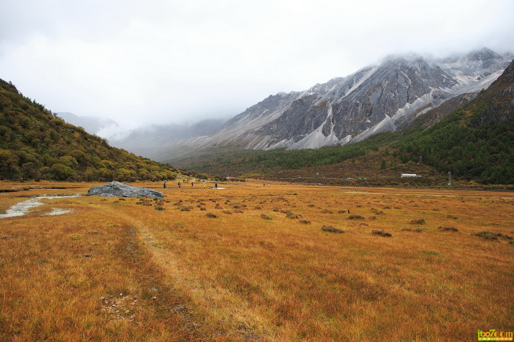 亚丁荒草地.jpg