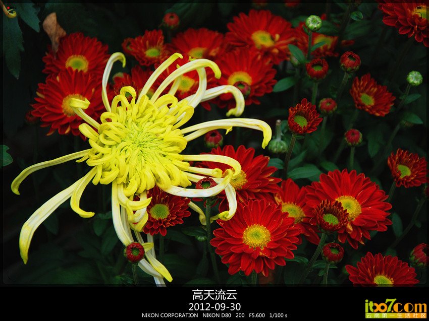 大观楼 小杨杨 367_副本_副本.jpg