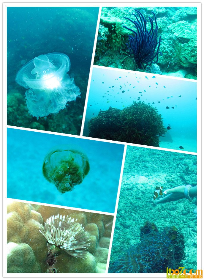 sea4.jpg