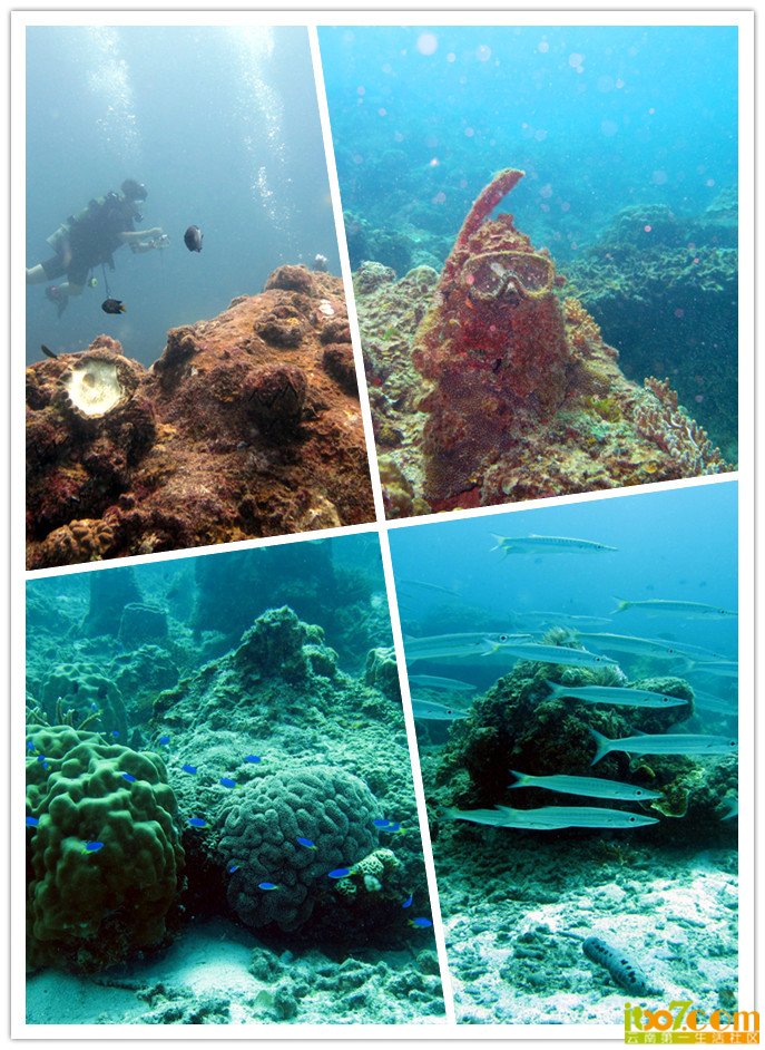 sea5.jpg
