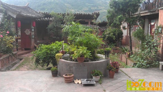 我们住的院子