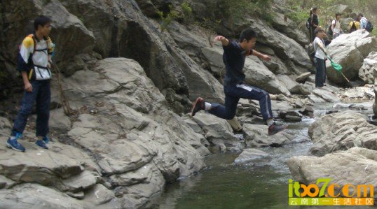 4276639_550x550_0[1].jpg