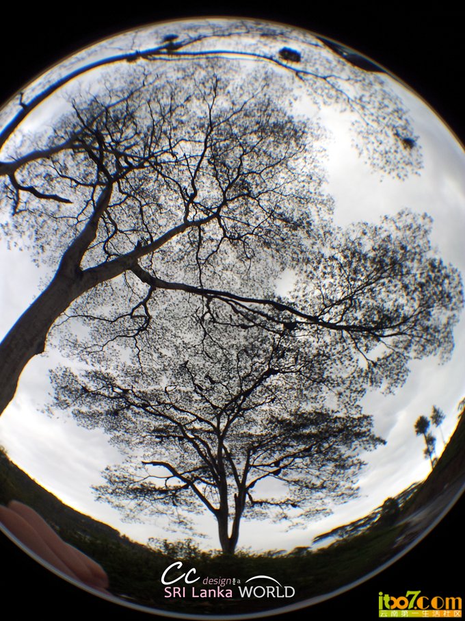 DSC08229 (1).jpg