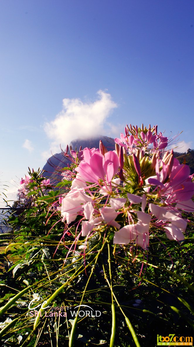 DSC08335.JPG